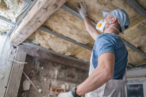 Best Fiberglass Insulation in Isla Vista, CA