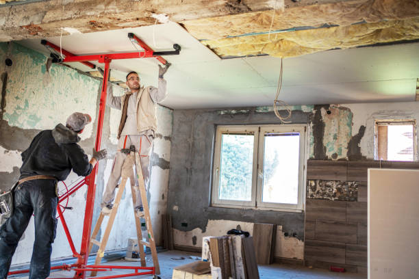 Best Blown-in Insulation in Isla Vista, CA