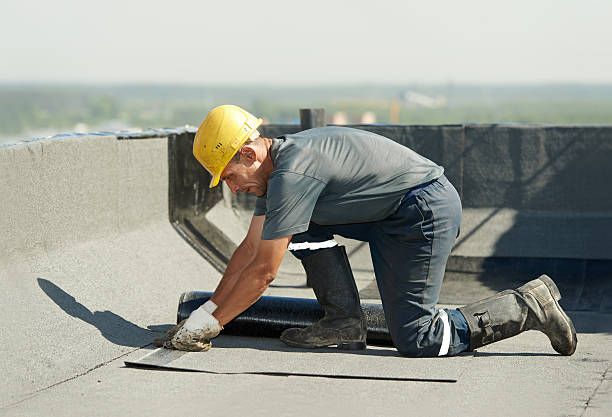 Best Spray Foam Insulation in Isla Vista, CA