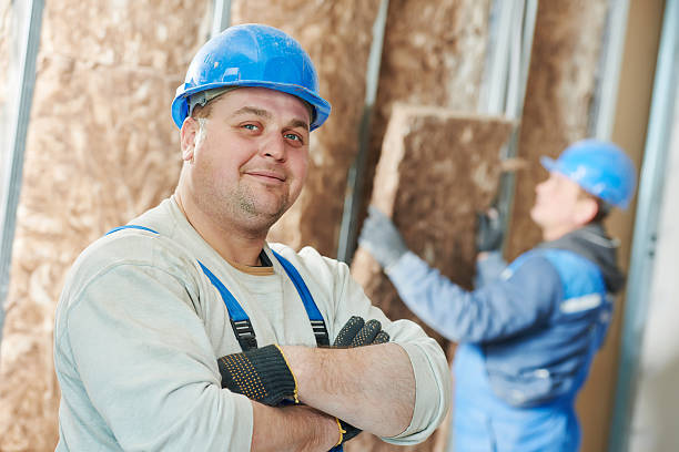 Best Insulation Maintenance and Repair in Isla Vista, CA